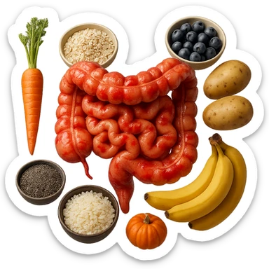 intestino umano anatomico infiammato con carota, bowl di avena, mirtilli, bowl di semi di chia, patate, banane, zucca, bowl di riso che gli fluttuano dietro, iperrealistico 4k sticker