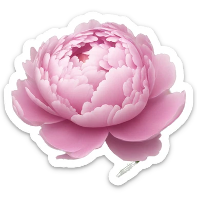 peonies ￼ sticker