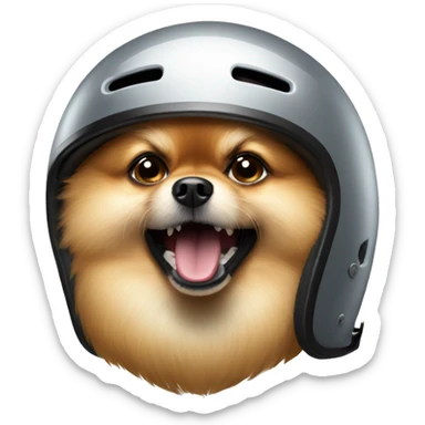 angry pomeranian in riders helmet sticker