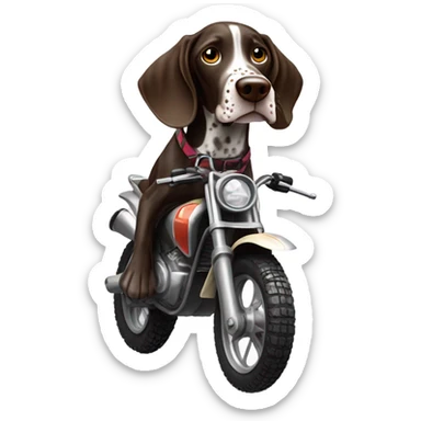 German shorthair pointer on a dirt bike sticker