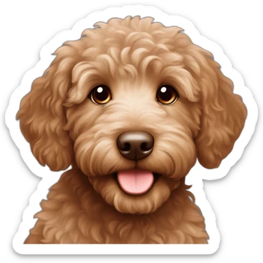Brown Austalian labradoodle puppy sticker