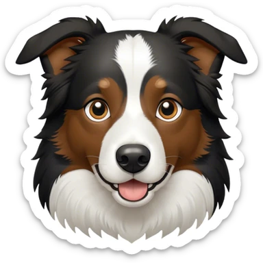 Border Collie schwarz weiß mit geklappte Ohren und braunen Augen  sticker