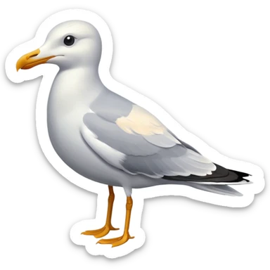 Seagull Bird  sticker