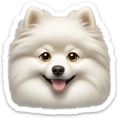 White Pomeranian spitz  sticker
