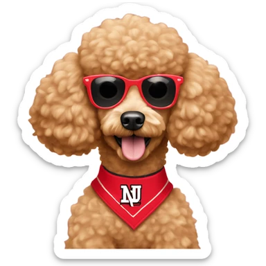 Apricot Poodle wearing a Cornhusker jersey and sunglasses  sticker