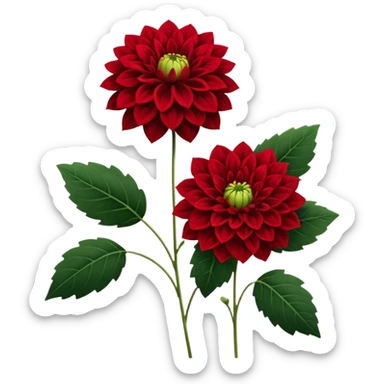 single Red Dahlia, straight stem sticker