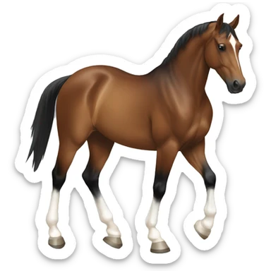 brown horse with two white socks in hind legs and two black legs in front, dressage sticker