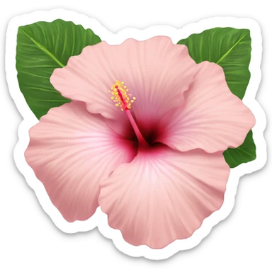 Light pink hibiscus ￼ sticker