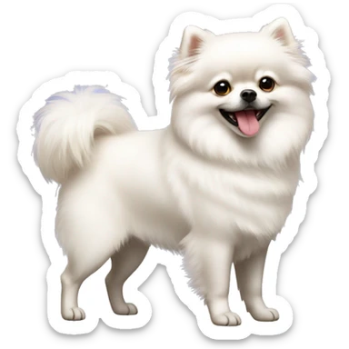 Cute white Pomeranian shpitz sticker