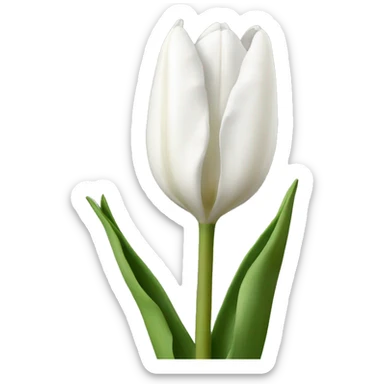 Tulipanes blancos  sticker