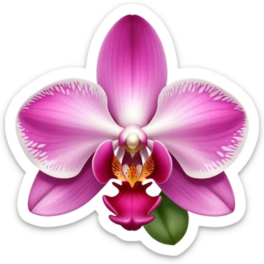 exquisite-phalaenopsis-moth-orchid-with-pure-white-petals-and-subtle-pink-center sticker