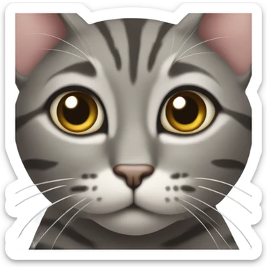 Gray tabby cat with big eyes sticker