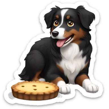 Small black australian shepherd dog eating pie  sticker