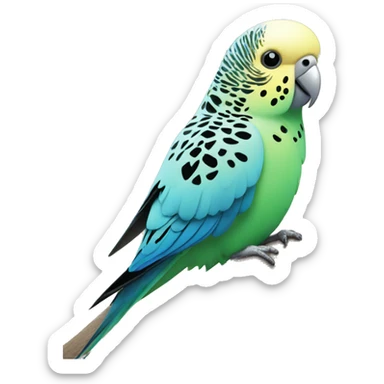 budgie on a plmtree at th beach sticker