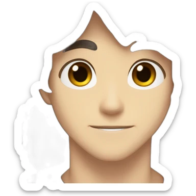 Male masterNinja, long brown hair and brown eyes, light human colour skin anime style sticker