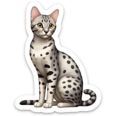Egyptian Mau cat sitting full body sticker