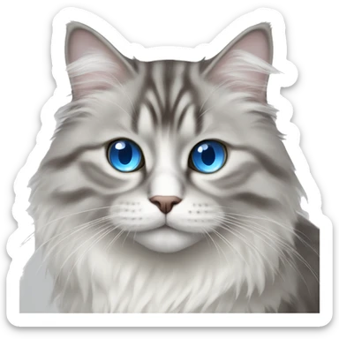 A gray and white Siberian cat with blue eyes  sticker