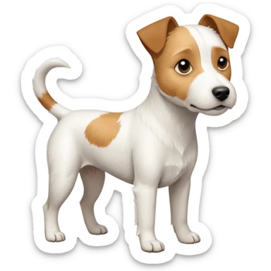 a full body white parson russell looking dog the size of a kelpie with light brown ears and a light brown patch on one eye and a large snout sticker