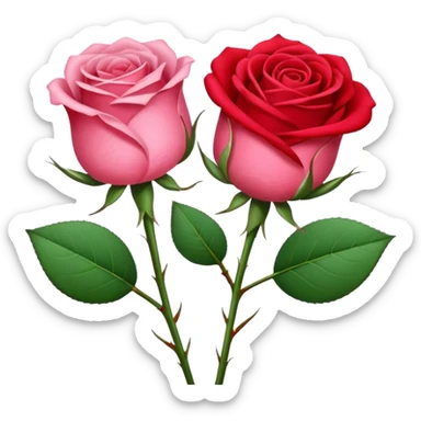 One pink🌹 and one red flower 🌹 on with red band  sticker