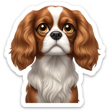 a king charles cavalier sticker