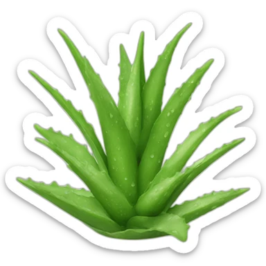 Aloe vera sticker