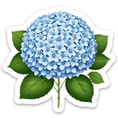 hydrangea white sticker