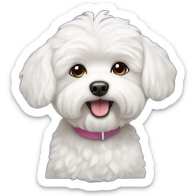 bichon maltes sticker