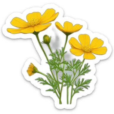 yellow cosmos flower sticker