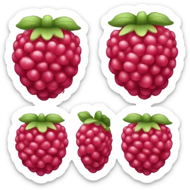 raspberry sticker