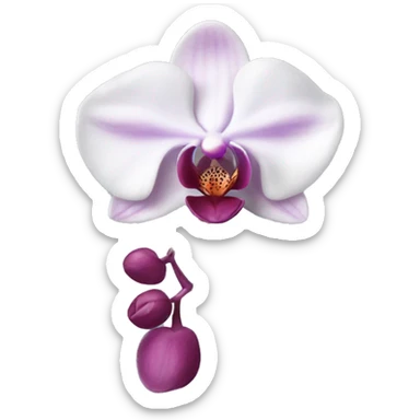 Phalaenopsis Orchid flower sticker
