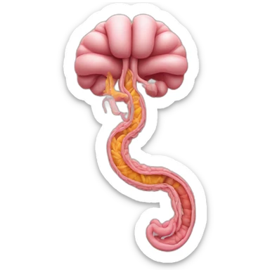 Human digestive tract as isolated organ sticker