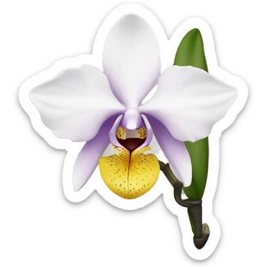orchid, black sticker