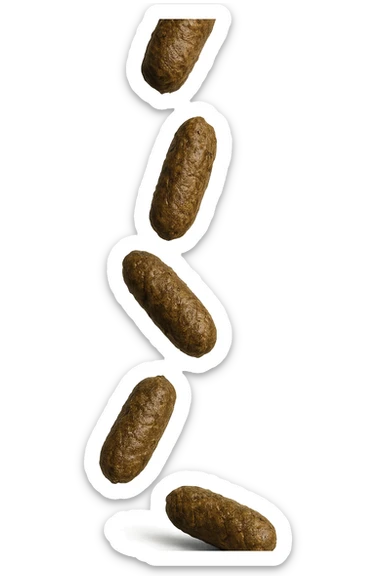 FECI DI ANIMALE A PALLINE UN PO' ALLUNGATE CADONO DALL'ALTO VERTICALMENTE, IPERREALISTICO 4K sticker