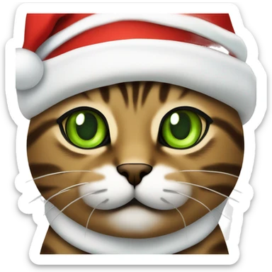 Brown tabby cat with green eyes wearing a Santa hat sticker
