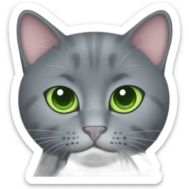 round faces grey russian blue cat with green eyes and fat sticker