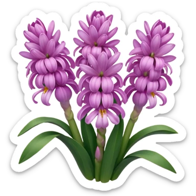 a light margenta  Hyacinth sticker