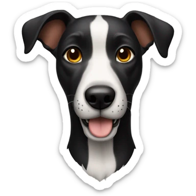 Perro negro con canas alegre sticker