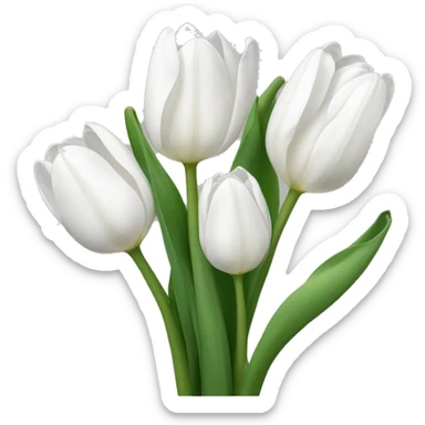 Tulipanes blancos sticker