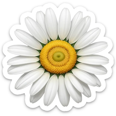 White daisy sticker