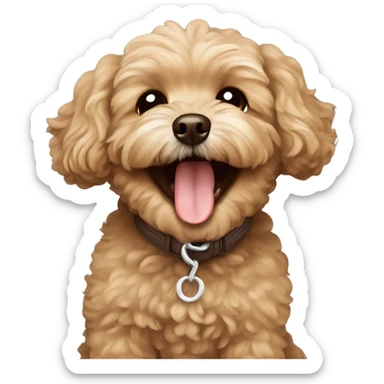 brown maltipoo laughing sticker