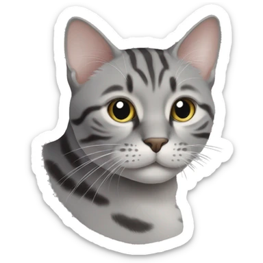 cat cat tabby grey sticker