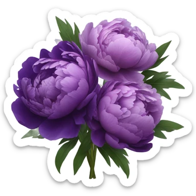 composition of purple peonies sticker