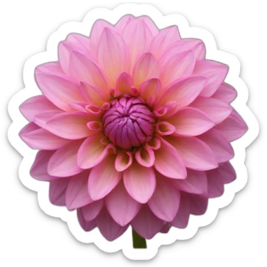 dahlia sticker