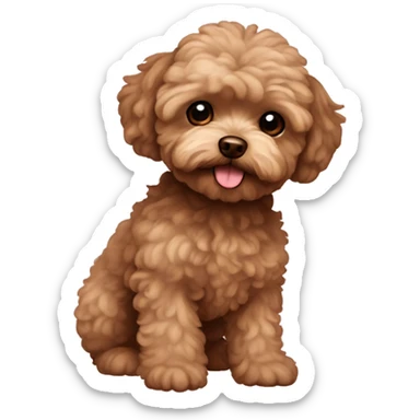 Brown maltipoo sticker