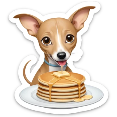 Grey without any white Italian greyhound eating pancakes sticker