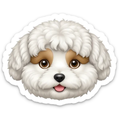 Bichon frise sticker