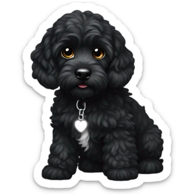 Black cockapoo with white flash on chest sticker
