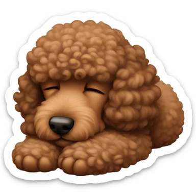 Brown poodle asleep sticker