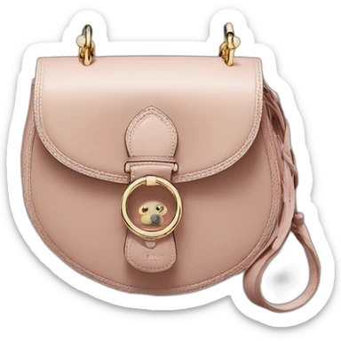 saddle bag dior sticker