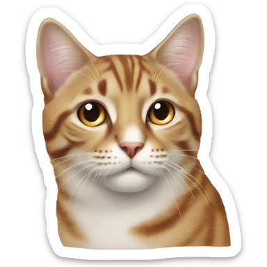 Кот Симба  sticker